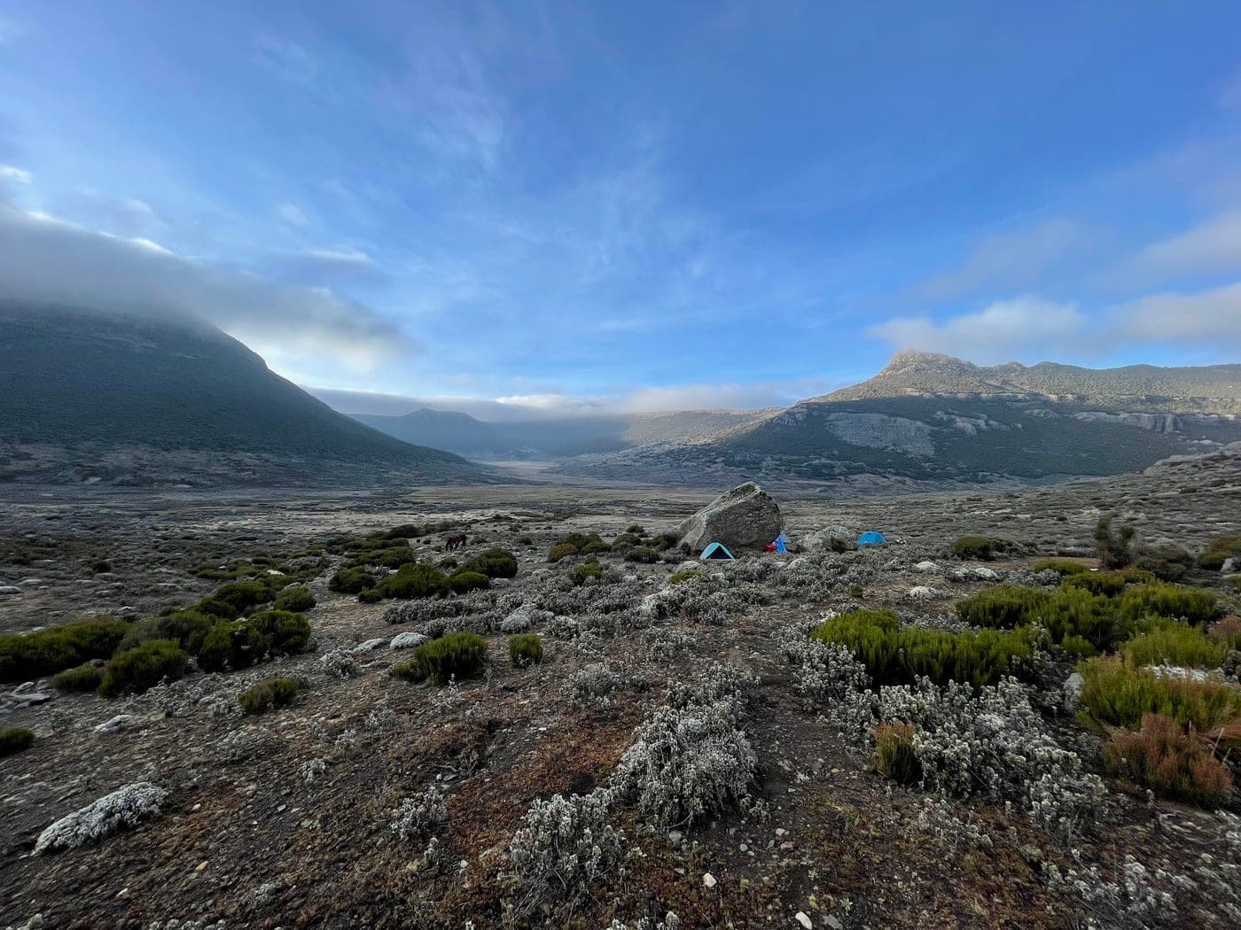 Two small tents pitched beside a boulder on high open moorland in the Bale Mountains at dawn, with mist lying along the ridge behind.