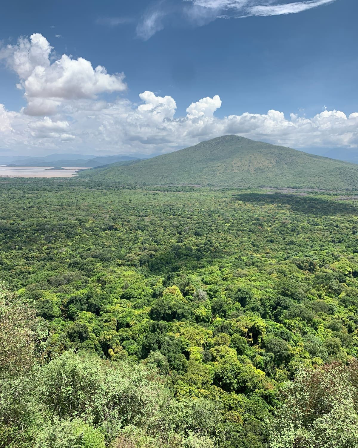 A broad green valley in Southern Ethiopia under a bright sky, with a volcanic cone rising from dense bush and a lake edge visible in the distance.