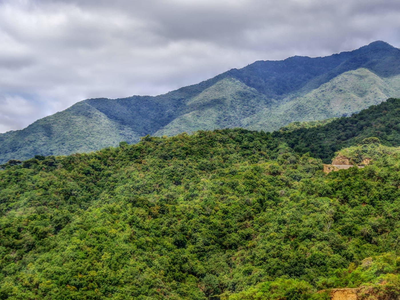 Forested mountain slopes rising steeply above dense green bush in south-western Ethiopia, under a clouded sky.